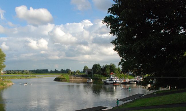 0317 zomerfestival gered dankzij gouden tip raadsleden en roeivereniging Argo